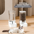 Automatic Pet Food and Water Dispenser