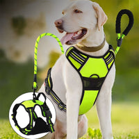 Reflective Dog Harness and Leash