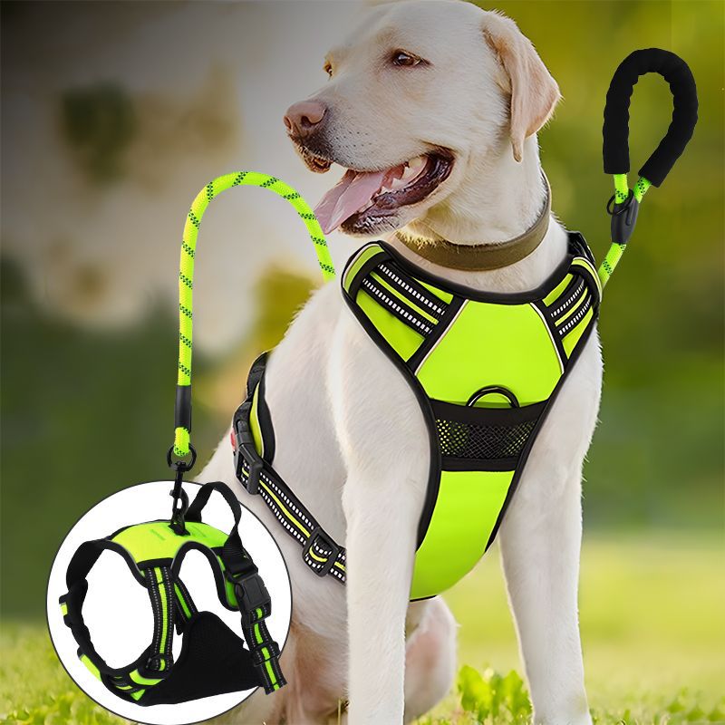 Reflective Dog Harness and Leash