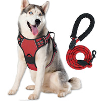 Reflective Dog Harness and Leash